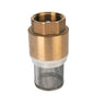 1' Brass Foot Valve and Strainer