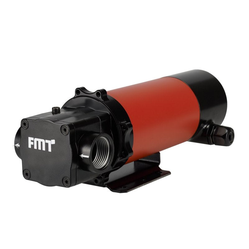 FMT 12v 35lpm Transfer Pump
