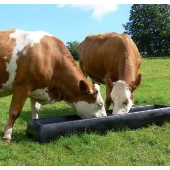 Floor Standing Feed Trough - LF5