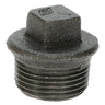 Black Iron Plug