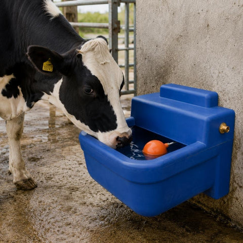 Animal Drinkers And Feeders
