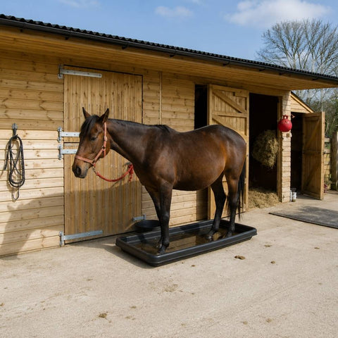 Footbath And Dips