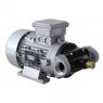 Piusi Viscomat GEROTOR High Flow Oil Transfer Pump