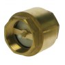 1" BSPT Brass Inline Check Valve